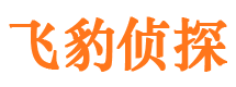 泉山市私家侦探